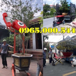 Mua xe nâng cây cảnh tại Hưng Yên giá rẻ nhất