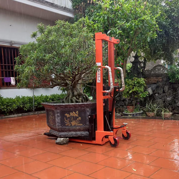 Mẫu xe nâng chậu cảnh 2025 Mẫu xe nâng chậu cảnh 2025