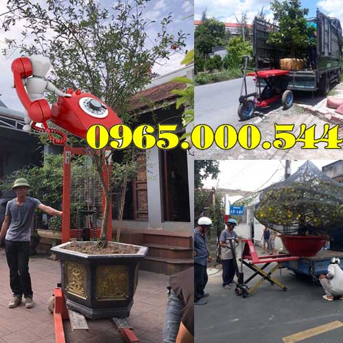 Mua xe nâng cây cảnh tại Hưng Yên