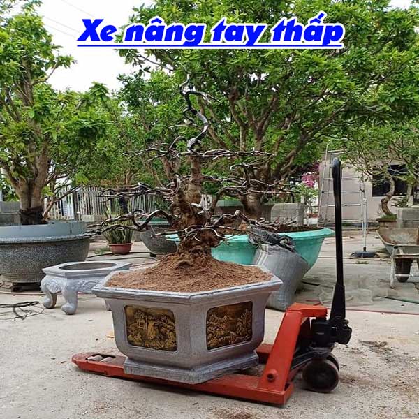 Mẫu xe nang chậu cảnh 2025 mới nhất